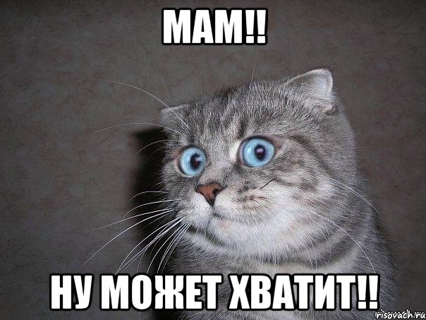 Мам!! ну может хватит!!, Мем  удивлённый кот