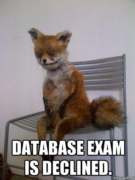  Database exam is declined., Мем Упоротая лиса