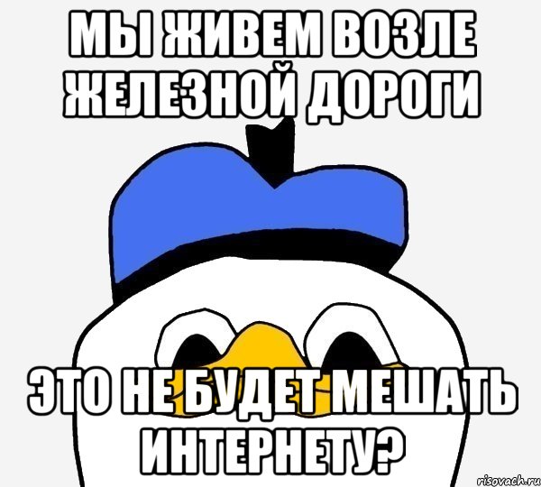 Мы живем возле железной дороги это не будет мешать интернету?, Мем Утка