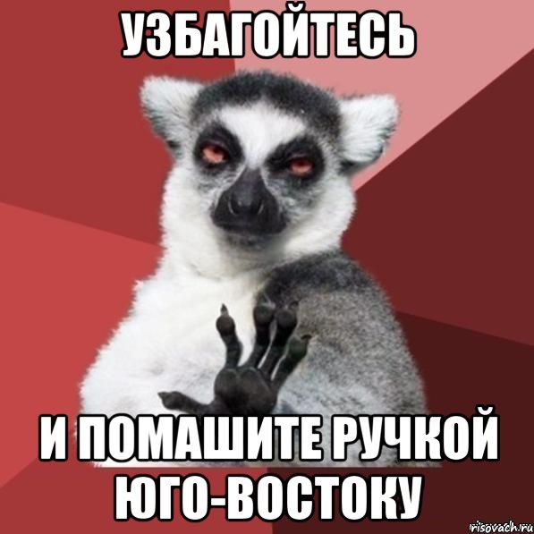 Узбагойтесь и помашите ручкой Юго-Востоку, Мем Узбагойзя