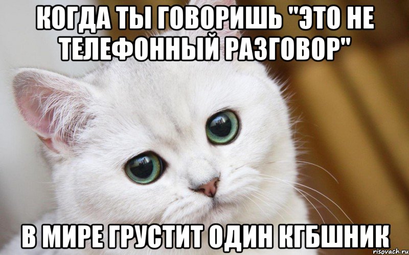 Когда ты говоришь "это не телефонный разговор" В мире грустит один кгбшник, Мем  В мире грустит один котик