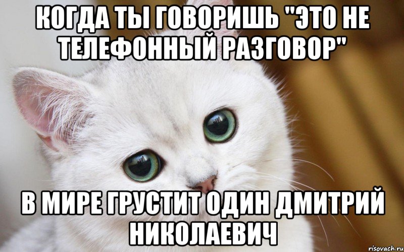 Когда ты говоришь "Это не телефонный разговор" В мире грустит один Дмитрий Николаевич, Мем  В мире грустит один котик