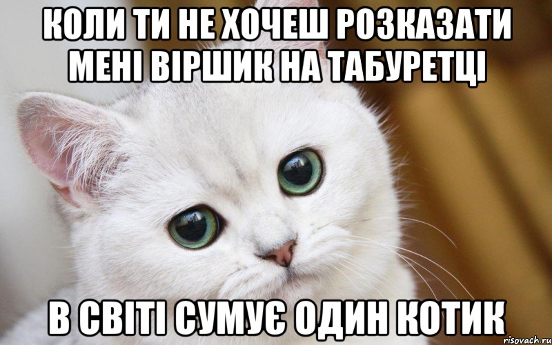 коли ти не хочеш розказати мені віршик на табуретці в світі сумує один котик, Мем  В мире грустит один котик