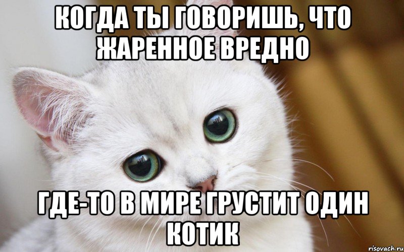 Когда ты говоришь, что жаренное вредно Где-то в мире грустит один котик, Мем  В мире грустит один котик