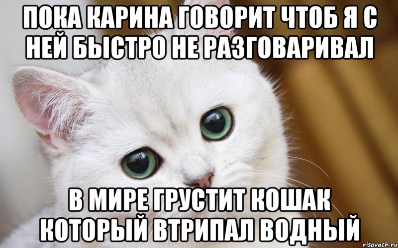 пока карина говорит чтоб я с ней быстро не разговаривал в мире грустит кошак который втрипал водный, Мем  В мире грустит один котик