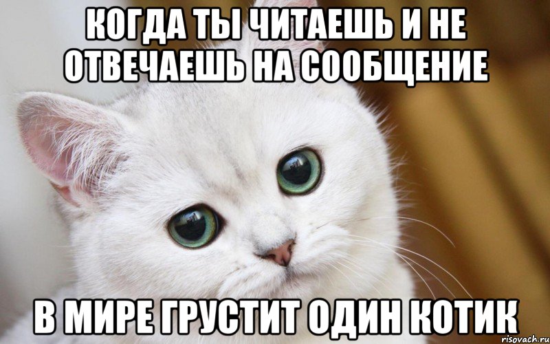 Когда ты читаешь и не отвечаешь на сообщение В мире грустит один котик, Мем  В мире грустит один котик