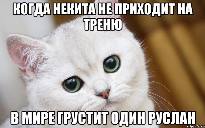 Когда Некита не приходит на треню в мире грустит один Руслан, Мем  В мире грустит один котик