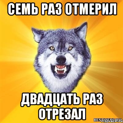 СЕМЬ РАЗ ОТМЕРИЛ ДВАДЦАТЬ РАЗ ОТРЕЗАЛ, Мем Волк