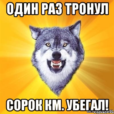 один раз тронул сорок км. убегал!, Мем Волк