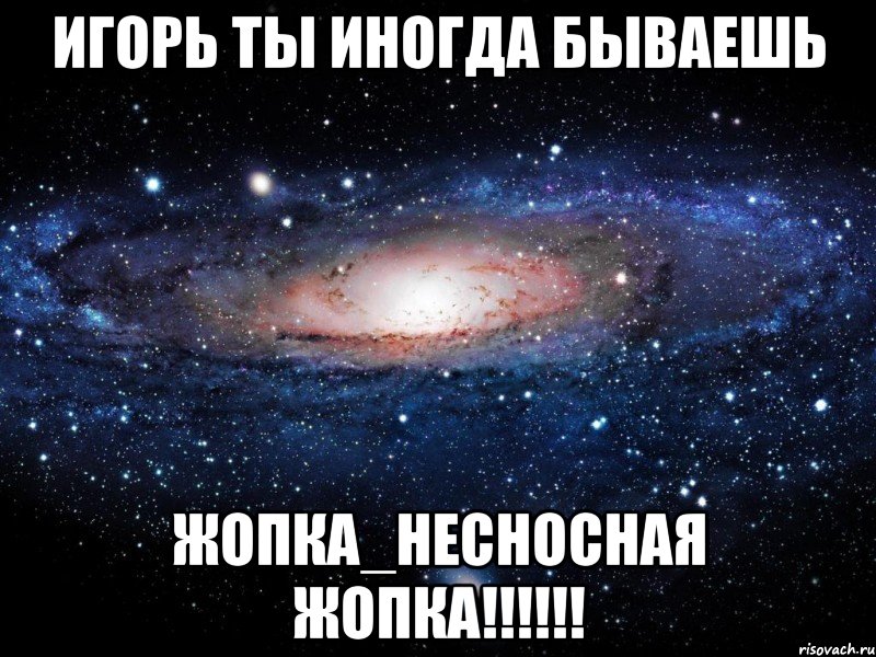 ИГОРЬ ТЫ ИНОГДА БЫВАЕШЬ ЖОПКА_НЕСНОСНАЯ ЖОПКА!!!!!!, Мем Вселенная