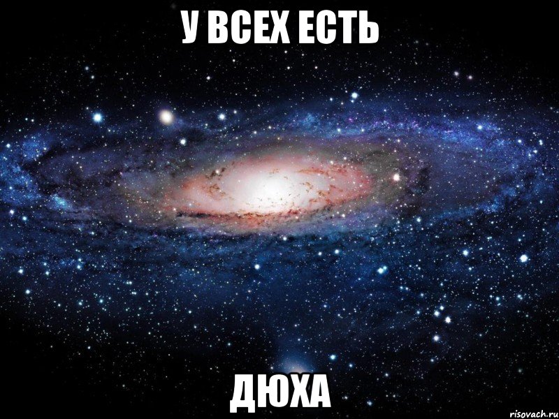 у всех есть дюха, Мем Вселенная