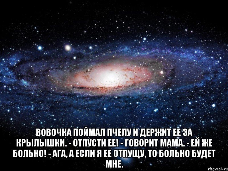  Вовочка поймал пчелу и держит ее за крылышки. - Отпусти ее! - говорит мама. - Ей же больно! - Ага, а если я ее отпущу, то больно будет мне., Мем Вселенная