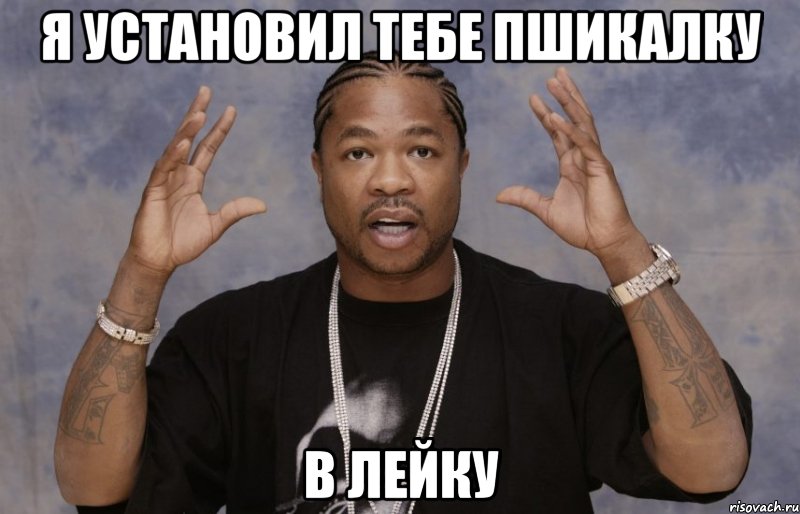 Я установил тебе пшикалку в лейку, Мем Xzibit