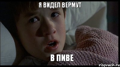 я видел вермут в пиве