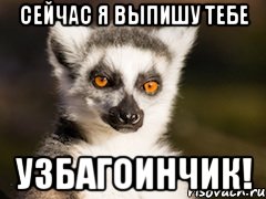 Сейчас я выпишу тебе узбагоинчик!, Мем Я збагоен