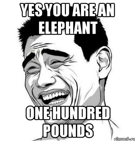 yes you are an elephant one hundred pounds, Мем Яо Мин