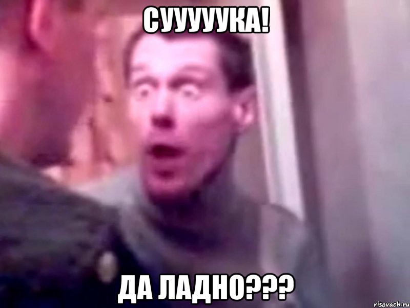 Сууууука! Да ладно???, Мем Запили