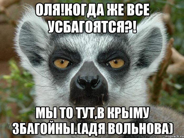 ОЛЯ!КОГДА ЖЕ ВСЕ УСБАГОЯТСЯ?! МЫ ТО ТУТ,В КРЫМУ ЗБАГОЙНЫ.(АДЯ ВОЛЬНОВА), Мем Збагойствие