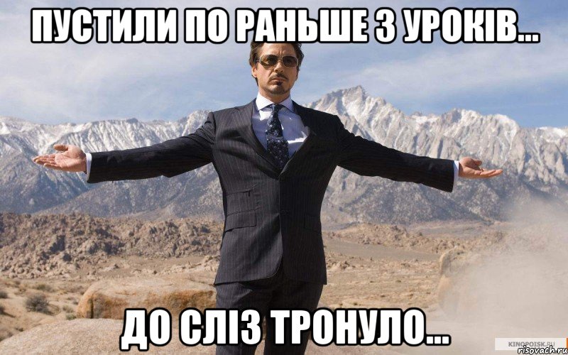 пустили по раньше з уроків... до сліз тронуло..., Мем железный человек