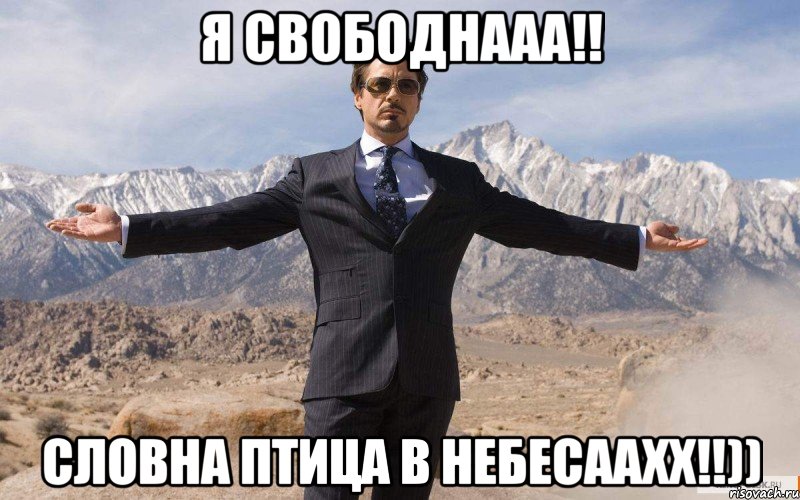 я свободнааа!! словна птица в небесаахх!!)), Мем железный человек