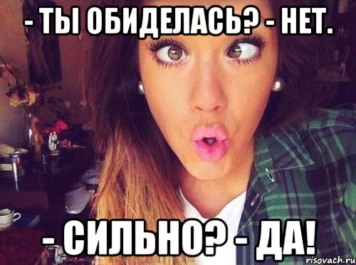 - ты обиделась? - нет. - сильно? - да!, Мем женская логика