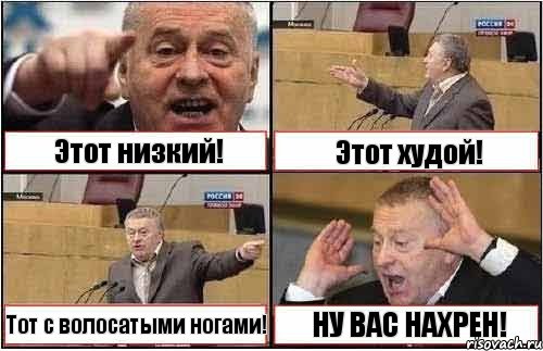 Этот низкий! Этот худой! Тот с волосатыми ногами! НУ ВАС НАХРЕН!, Комикс жиреновский