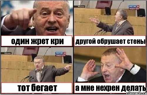 один жрет кри другой обрушает стены тот бегает а мне нехрен делать, Комикс жиреновский