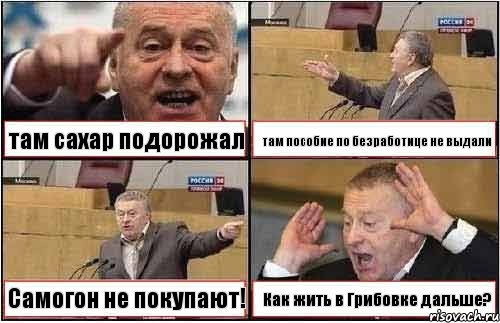 там сахар подорожал там пособие по безработице не выдали Самогон не покупают! Как жить в Грибовке дальше?, Комикс жиреновский