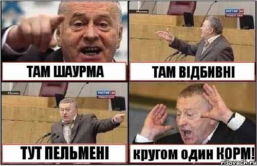 ТАМ ШАУРМА ТАМ ВІДБИВНІ ТУТ ПЕЛЬМЕНІ кругом один КОРМ!, Комикс жиреновский