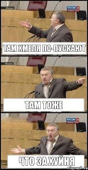 ТАМ ХМЕЛЯ ПО-ПУСКАЮТ ТАМ ТОЖЕ ЧТО ЗА ХУЙНЯ, Комикс Жириновский разводит руками 3