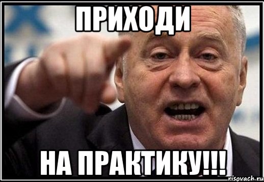 Приходи На практику!!!, Мем жириновский ты