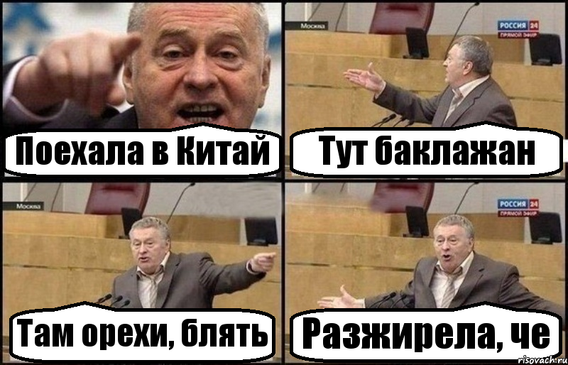 Поехала в Китай Тут баклажан Там орехи, блять Разжирела, че, Комикс Жириновский