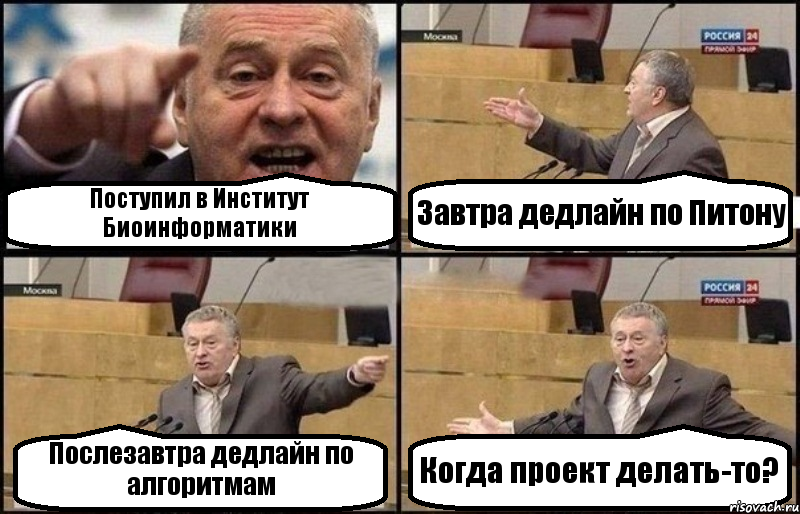 Поступил в Институт Биоинформатики Завтра дедлайн по Питону Послезавтра дедлайн по алгоритмам Когда проект делать-то?, Комикс Жириновский