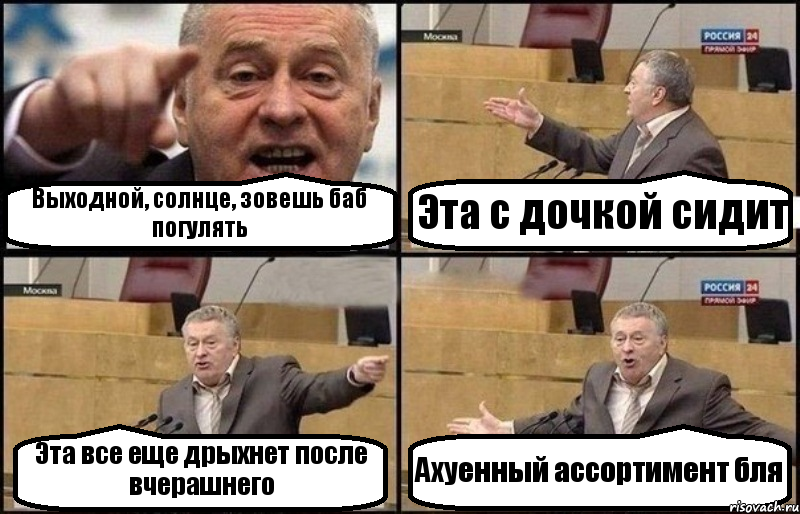 Выходной, солнце, зовешь баб погулять Эта с дочкой сидит Эта все еще дрыхнет после вчерашнего Ахуенный ассортимент бля, Комикс Жириновский