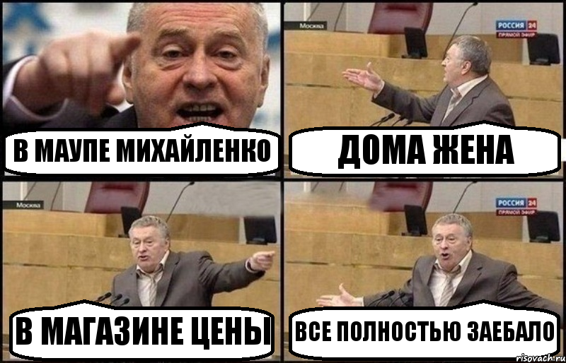 В МАУПЕ МИХАЙЛЕНКО ДОМА ЖЕНА В МАГАЗИНЕ ЦЕНЫ ВСЕ ПОЛНОСТЬЮ ЗАЕБАЛО, Комикс Жириновский