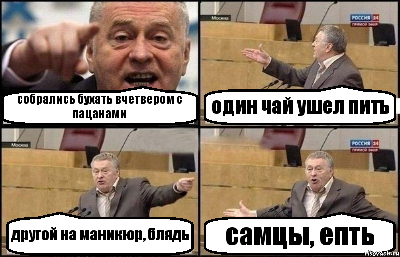 собрались бухать вчетвером с пацанами один чай ушел пить другой на маникюр, блядь самцы, епть, Комикс Жириновский