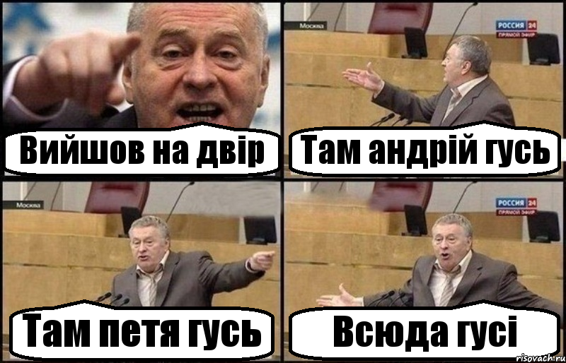 Вийшов на двір Там андрій гусь Там петя гусь Всюда гусі, Комикс Жириновский