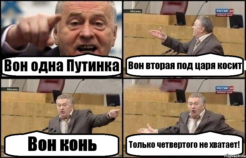 Вон одна Путинка Вон вторая под царя косит Вон конь Только четвертого не хватает!, Комикс Жириновский