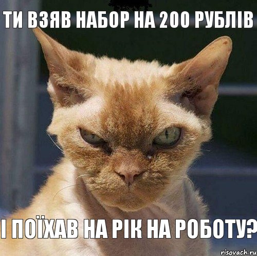 ТИ ВЗЯВ НАБОР НА 200 РУБЛІВ І ПОЇХАВ НА РІК НА РОБОТУ?, Комикс  злой кот