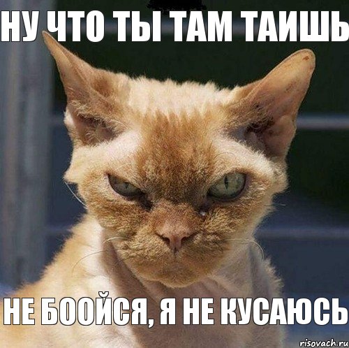 Ну что ты там таишь Не боойся, я не кусаюсь