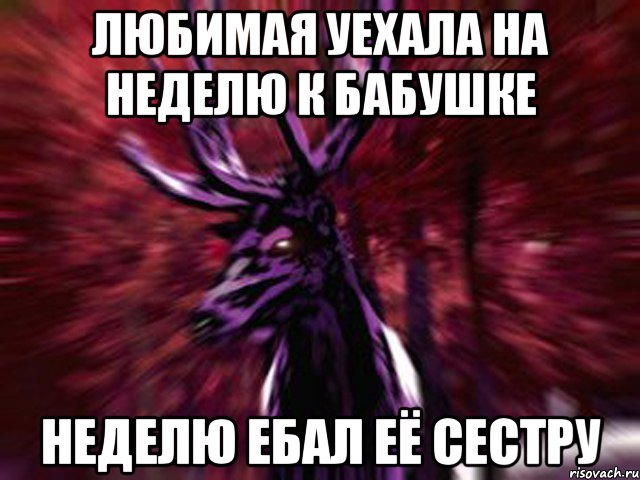 любимая уехала на неделю к бабушке неделю ебал её сестру, Мем ЗЛОЙ ОЛЕНЬ