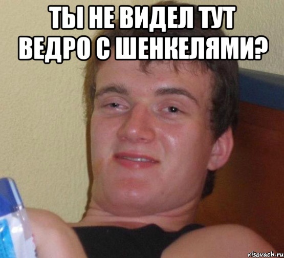 ТЫ НЕ ВИДЕЛ ТУТ ВЕДРО С ШЕНКЕЛЯМИ? , Мем 10 guy (Stoner Stanley really high guy укуренный парень)