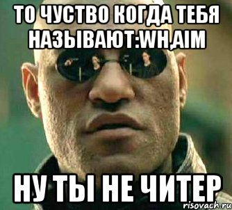 То чуство когда тебя называют:WH,AIM Ну ты не читер, Мем  а что если я скажу тебе