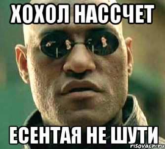 ХОХОЛ НАССЧЕТ ЕСЕНТАЯ НЕ ШУТИ