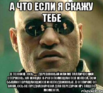 а что если я скажу тебе в технике: ось — деревянный или металлический стержень, на концах к-рого помещаются колеса. Оси бывают вращающиеся и неподвижные. В отличие от вала, ось не предназначена для передачи крутящего момента., Мем  а что если я скажу тебе