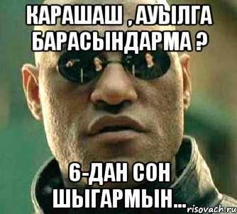 Карашаш , ауылга барасындарма ? 6-дан сон шыгармын..., Мем  а что если я скажу тебе