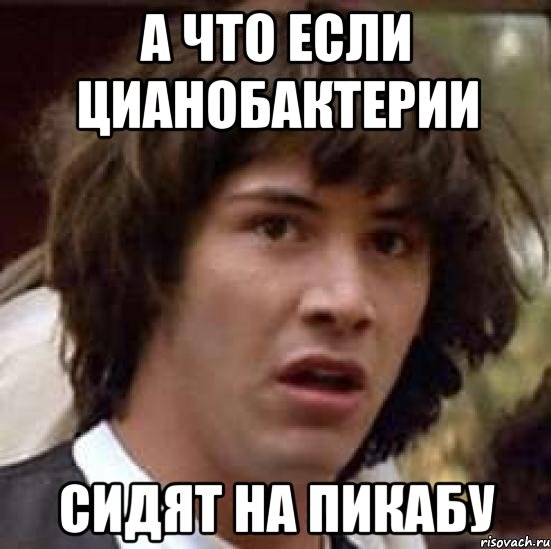 А что если цианобактерии сидят на пикабу, Мем А что если (Киану Ривз)