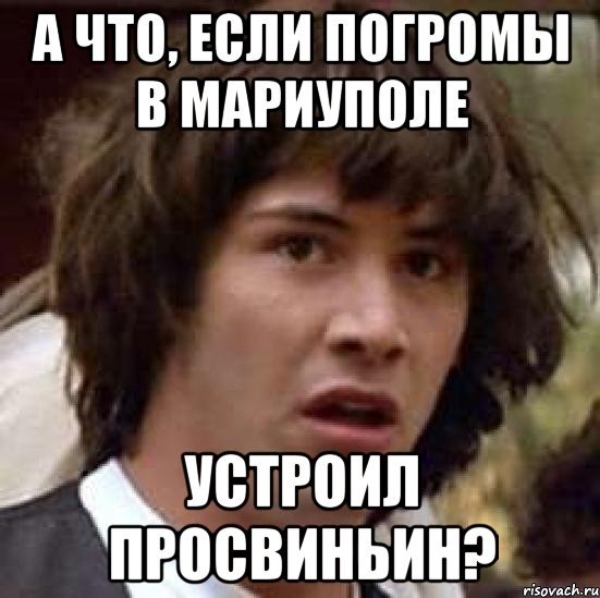 а что, если погромы в Мариуполе устроил Просвиньин?, Мем А что если (Киану Ривз)