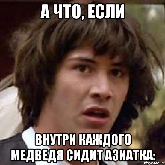 А что, если внутри каждого медведя сидит азиатка:, Мем А что если (Киану Ривз)