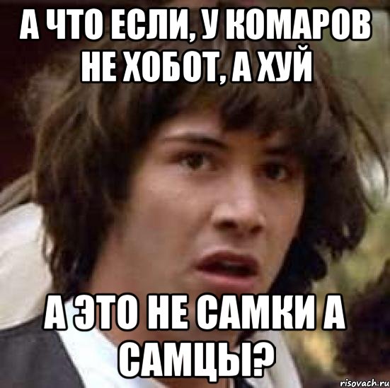 А что если, у комаров не хобот, а хуй А это не самки а самцы?, Мем А что если (Киану Ривз)